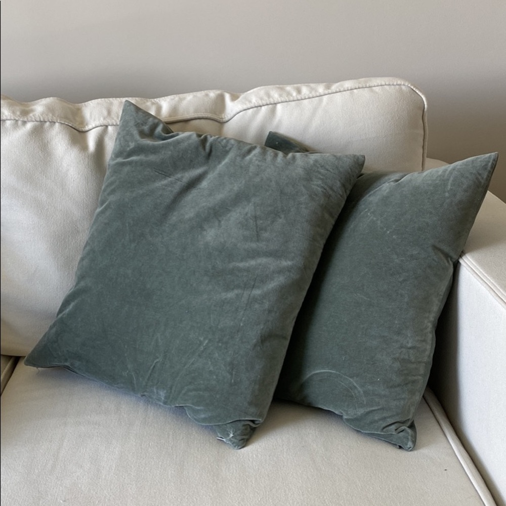 Eucalyptus Green Velvet Throw Pillows